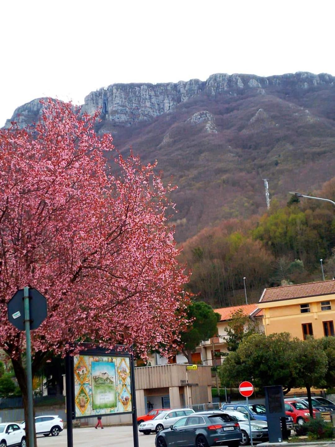Sapori E Sapere Di Troisi Margherita Sicignano degli Alburni Luaran gambar